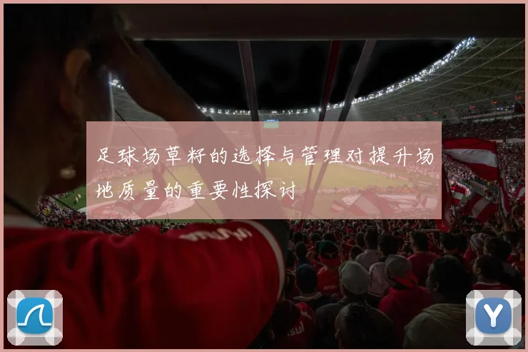 足球场草籽的选择与管理对提升场地质量的重要性探讨