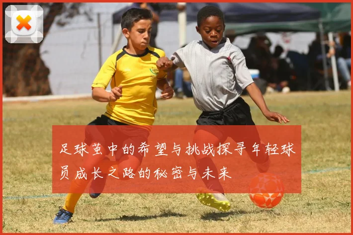 足球茧中的希望与挑战探寻年轻球员成长之路的秘密与未来