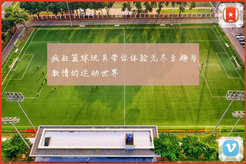 疯狂篮球玩具带你体验无尽乐趣与激情的运动世界