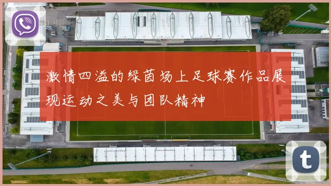 激情四溢的绿茵场上足球赛作品展现运动之美与团队精神