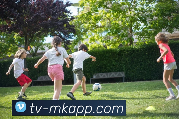 MK体育品牌故事